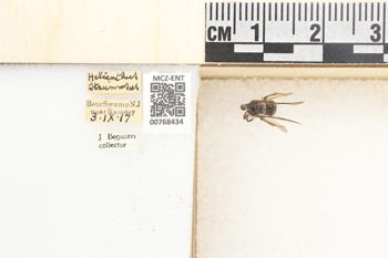 Media type: image;   Entomology 768434 Aspect: Labels